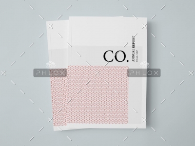 demo-attachment-18-CO.-Annual-Report