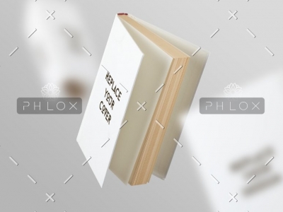 demo-attachment-45-pic2-1